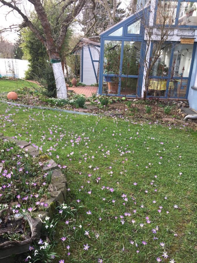 Blaues Haus Apartman Niederdorfelden Kültér fotó