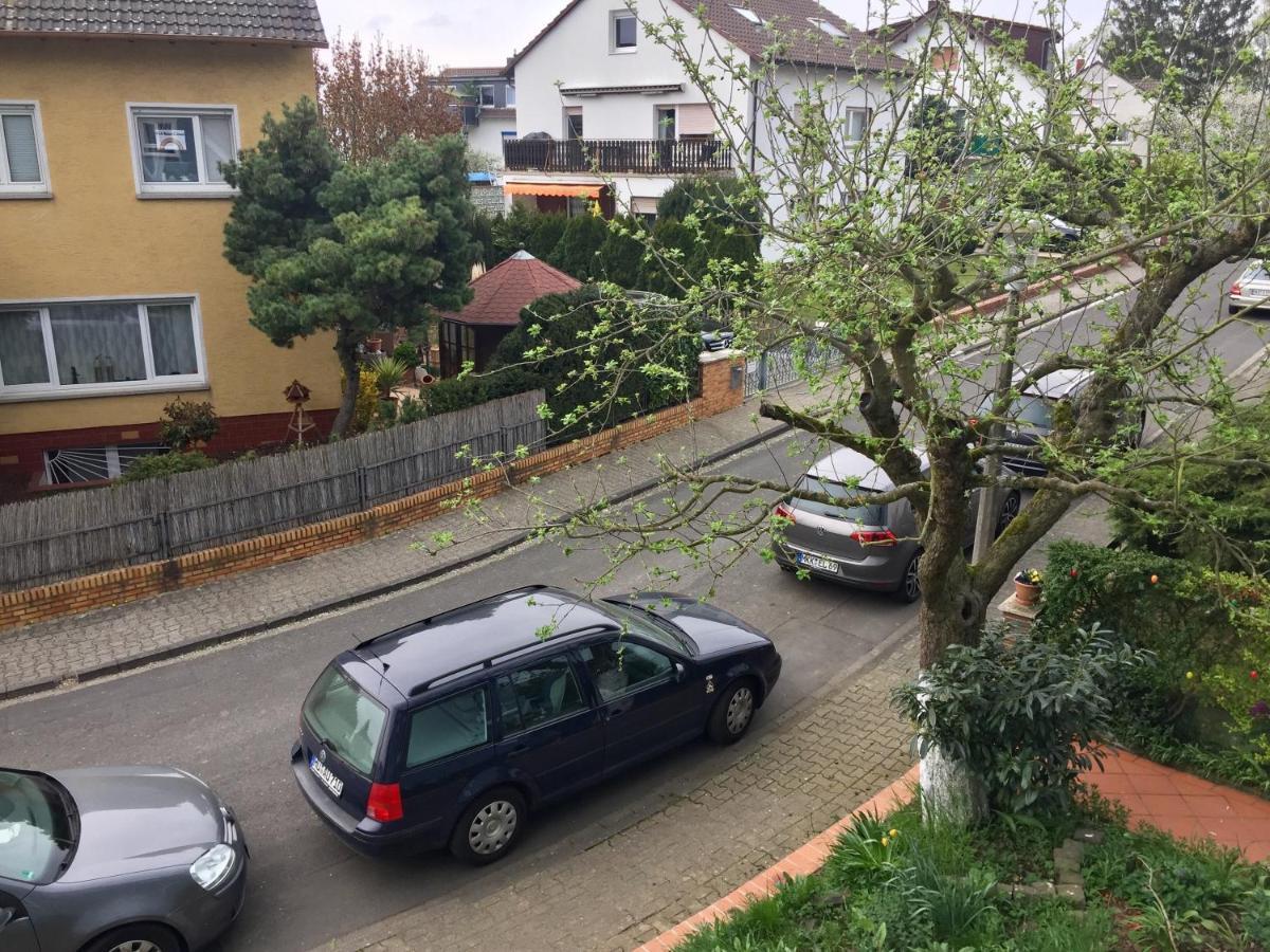 Blaues Haus Apartman Niederdorfelden Kültér fotó