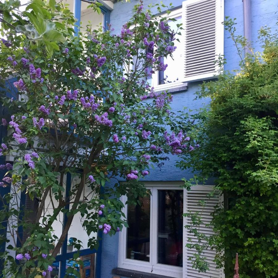 Blaues Haus Apartman Niederdorfelden Kültér fotó