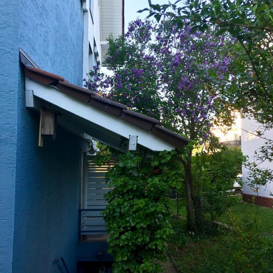 Blaues Haus Apartman Niederdorfelden Kültér fotó
